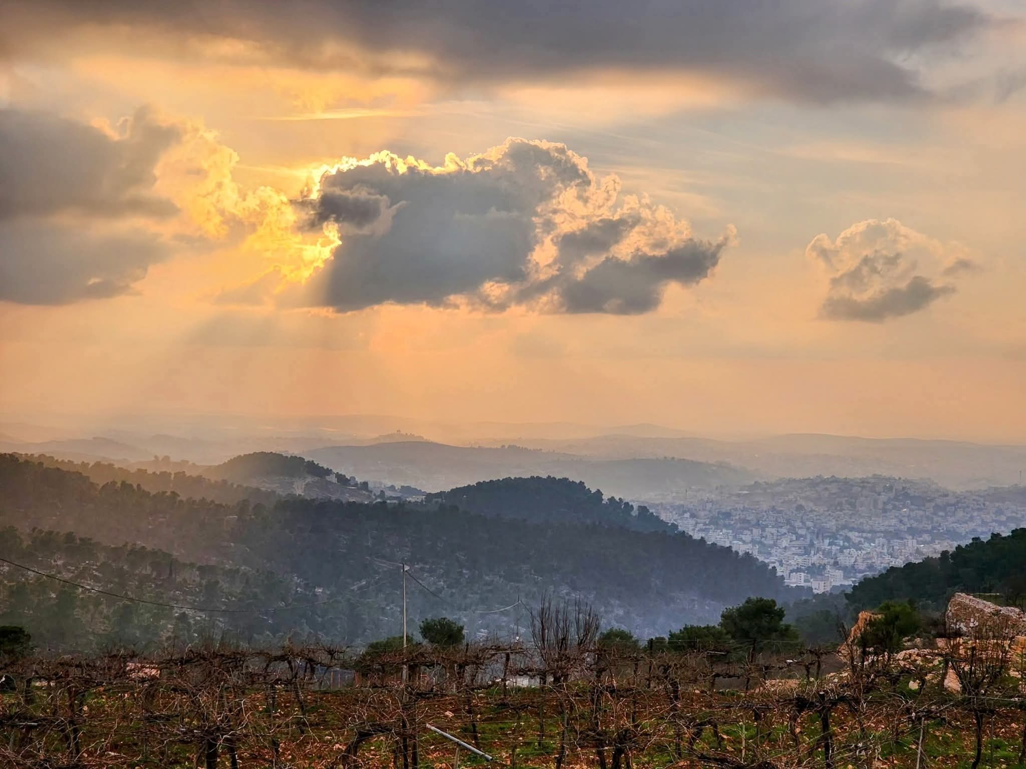 الخليل | موسوعة القرى الفلسطينية